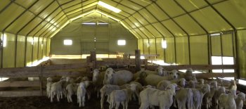 13. Çadır Yapılarının Tarım ve Hayvancılık Sektöründeki Rolü